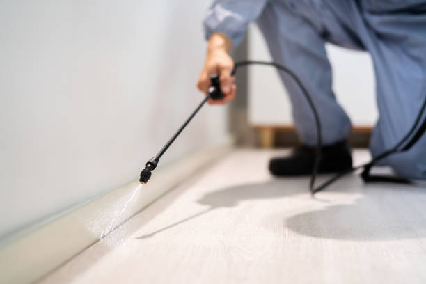 Certified termite inspector examining foundation in Shoreline
