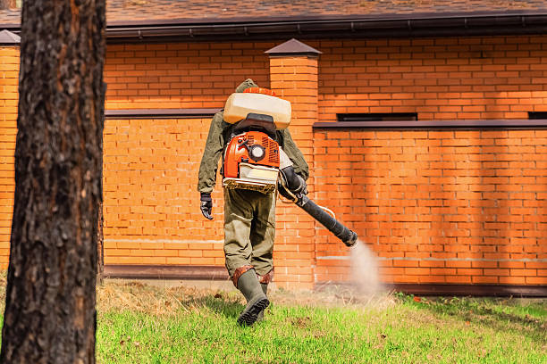 Bed Bug Clearance Verification and Documentation in Shoreline